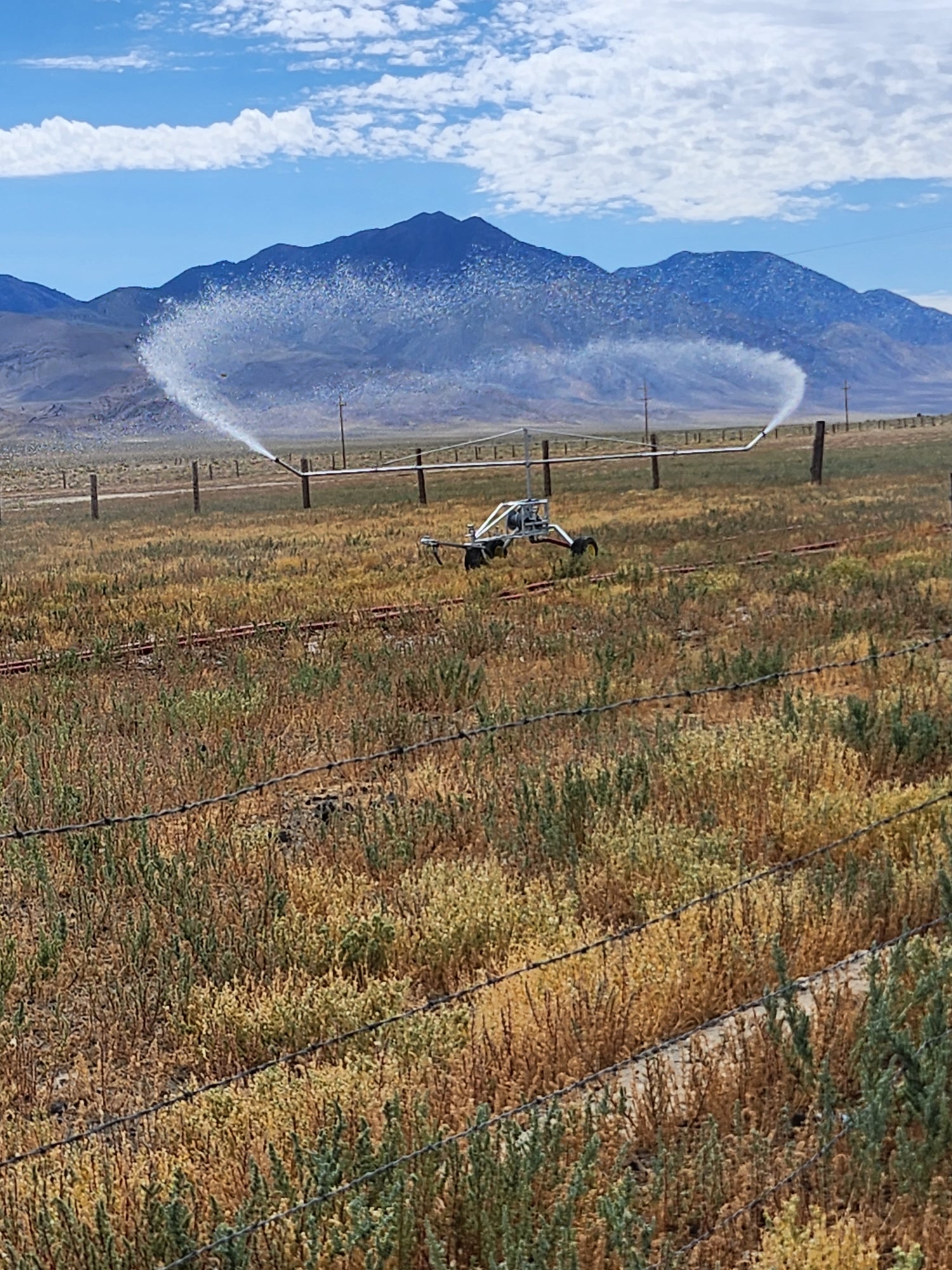 t100 travelling irrigator